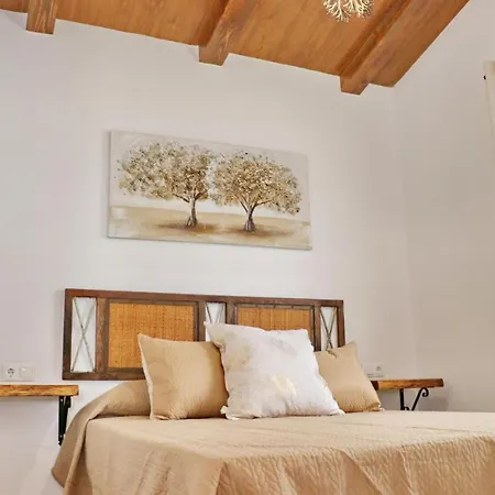 Hotel Bungalow Roche *